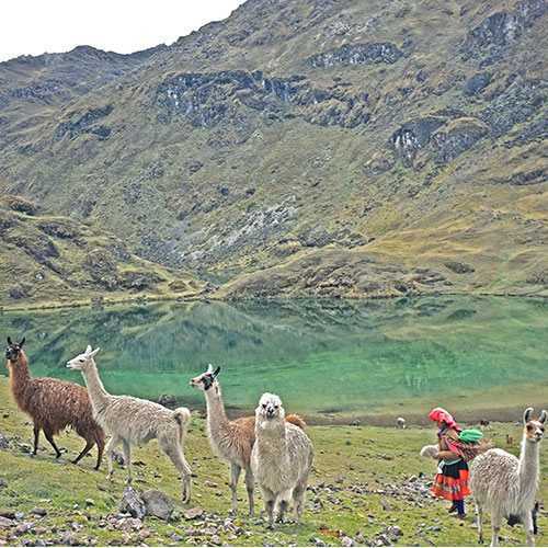 Lares Valley and Machu Picchu