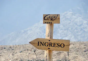Tour of Caral Ruins near Lima, Peru