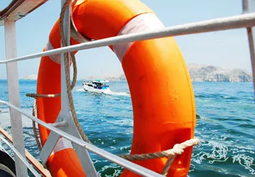 Swimming with Sea Lions at Palomino Island by Lima, Peru