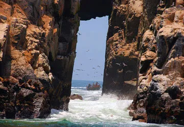 Swimming with Sea Lions at Palomino Island by Lima, Peru
