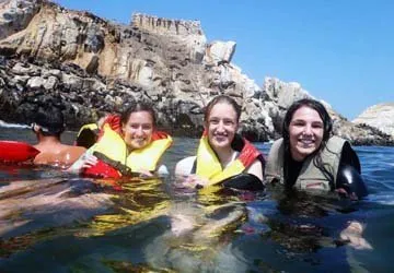 Swimming with Sea Lions at Palomino Island by Lima, Peru