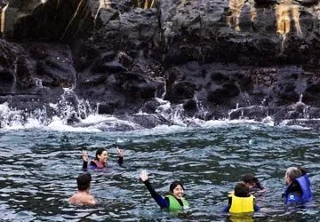Swimming with Sea Lions at Palomino Island by Lima, Peru