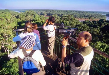 Birding in Peru
