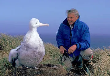 Sir David Attenborough with Wandering Albatross