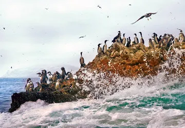 The Ballestas Islands in Paracas National Park