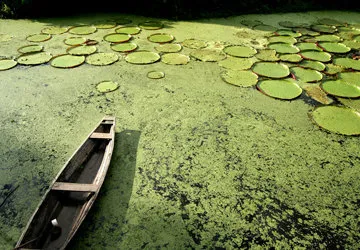 Iquitos in the Amazon of Peru