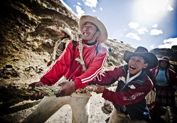 Rebuilding Qeswachaka bridge near Cusco, Peru