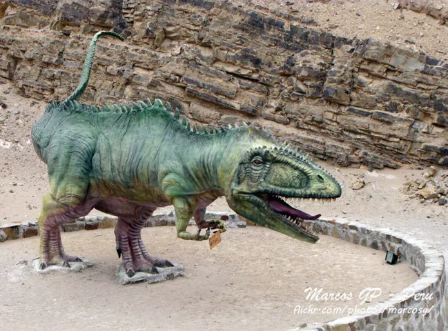 Tour toro muerto querullpa