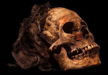 Skull of a Wari noblewoman in Peruvian tomb