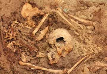 Skeletons unearthed in the recently discovered tomb