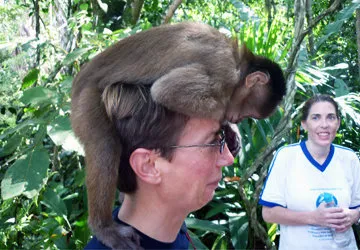 Playful monkey at the Amazon Animal Orphanage in Iquitos