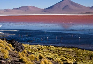 Uyuni Salar Tour in Bolivia