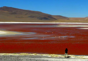 Uyuni Salar Tour in Bolivia