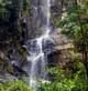 Wildlife haven Tabaconas Namballa National Sanctuary in Peru