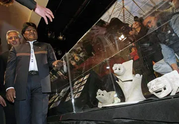 Bolivian President Evo Morales admiring stone puma vessels.