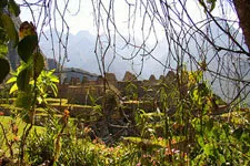 Cover Photo. Machu Picchu in the vines of the Peruvian Andes