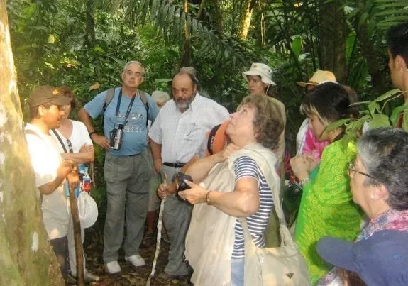 walking in the jungle