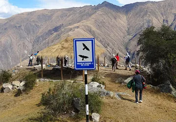 Inca World Travel