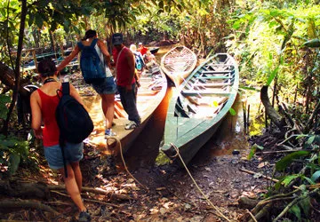 Manu National Park near Puerto Maldonado, Amazon Peru