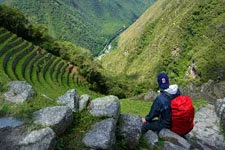 Cover. Overlooking the Inca terraces at Machu Picchu