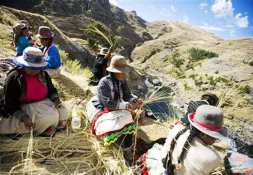 Tejiendo el Ichu para la estructura del Puente Qeswachaka