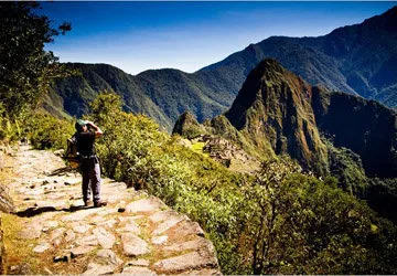 The area around Machu Picchu alone boasts 700+ bird species.