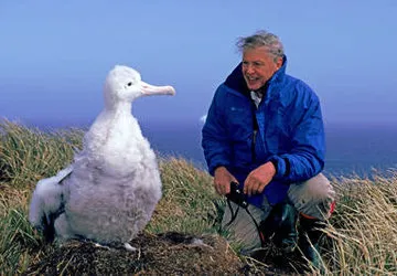 Sir David with a coastal native- the wandering albatross