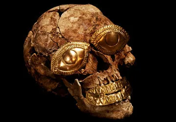 A priceless artifact: Moche skull with golden inserts.