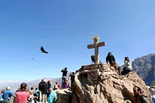 Vista de los condores en el Cañon del Colca