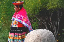 Awanacancha, Valle sgrado, Cusco