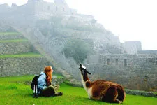 Turista jugando con una llama en Machu Picchu