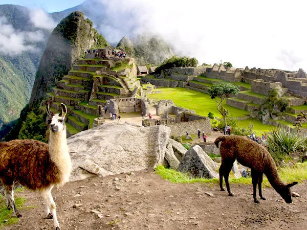Machu Picchu