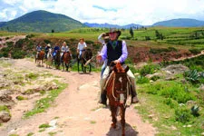 Grupo de turistas galopando en sus caballos