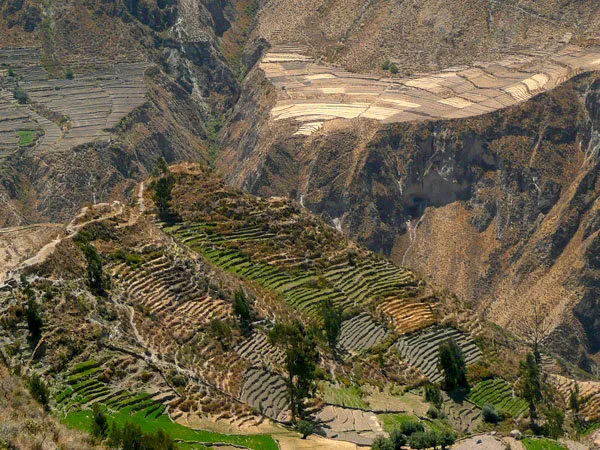 Caminata cañon Cotahuasi