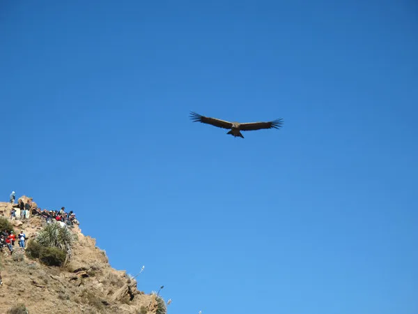 Caminata Colca