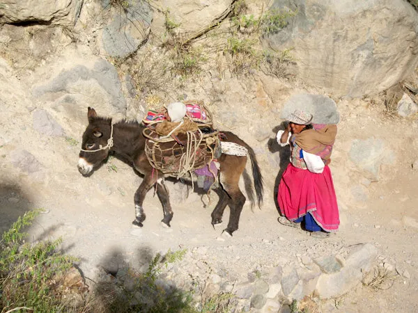 Caminata Colca