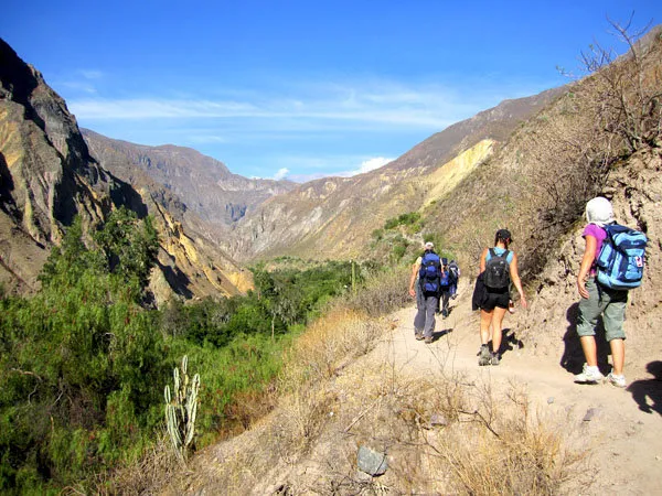 Caminata cañon Colca