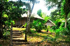 Lodge en la selva boliviana