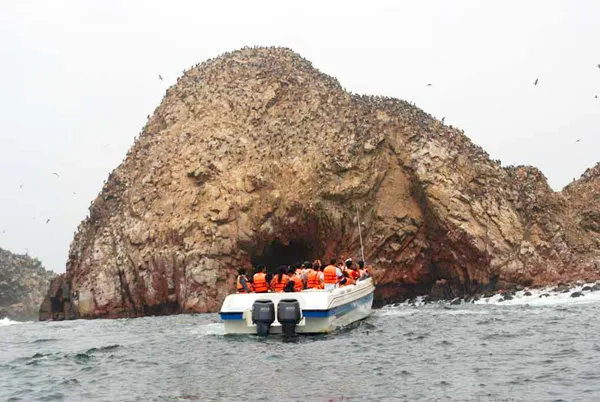 Reserva Paracas