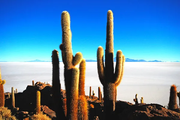Salar de Uyuni