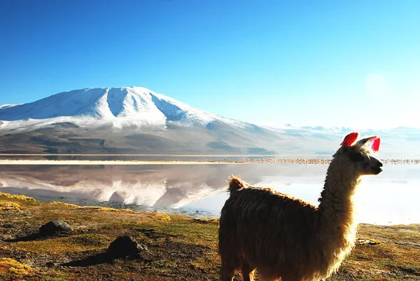 Salar de Uyuni
