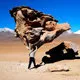 Tree Stone rock formation at Siloli in the Uyuni Salt Flats 