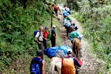 Traversing the jungle brow at Santa Teresa, on the Salkantay