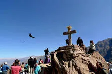 Flight of the condors over Condors Cross lookout in Colca Ca
