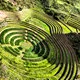 Concentric terraces of Moray Archeological Site near Cusco, 