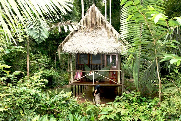 Eslabon Chalalan Jungle