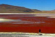 Visisint the Colored Lagoon in the Uyuni Salar Salt Flats in