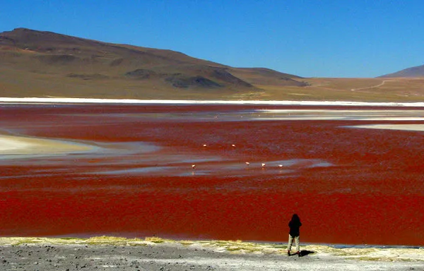 Uyuni Salar Salt Flats 3 Days