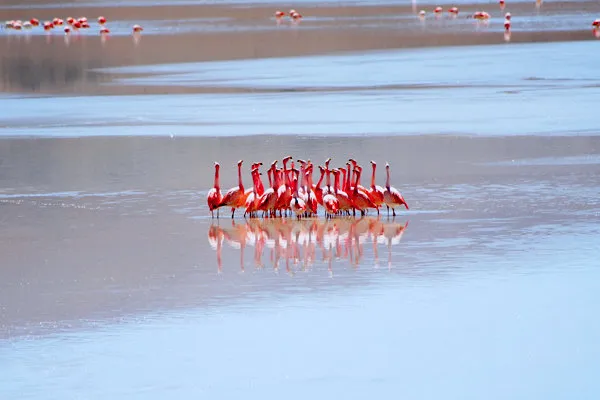 Uyuni Salar Salt Flats 3 Days