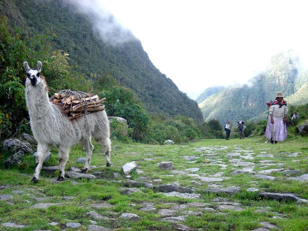 Choro Inca Trail